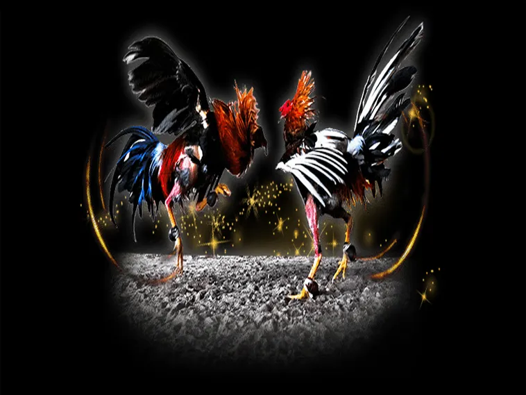 Bật Mí Cách Chơi Đá Gà Sabong Tại Blue88 Thắng Lớn Dễ Dàng