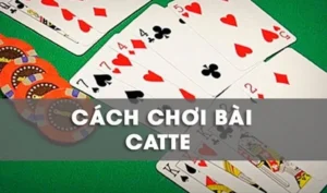 Hướng Dẫn Chi Tiết Cách Chơi Sắc Tê Nhà Cái Blue88 Vui Nhộn
